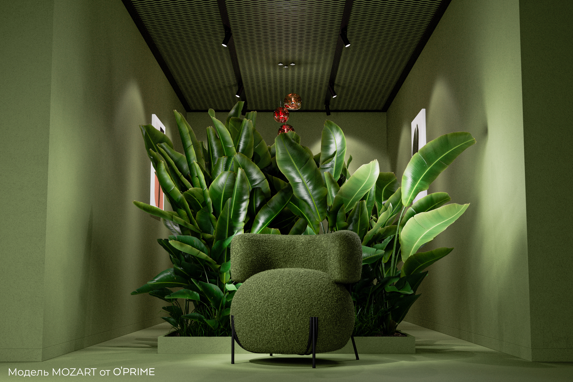 Мерино (Merino) 001