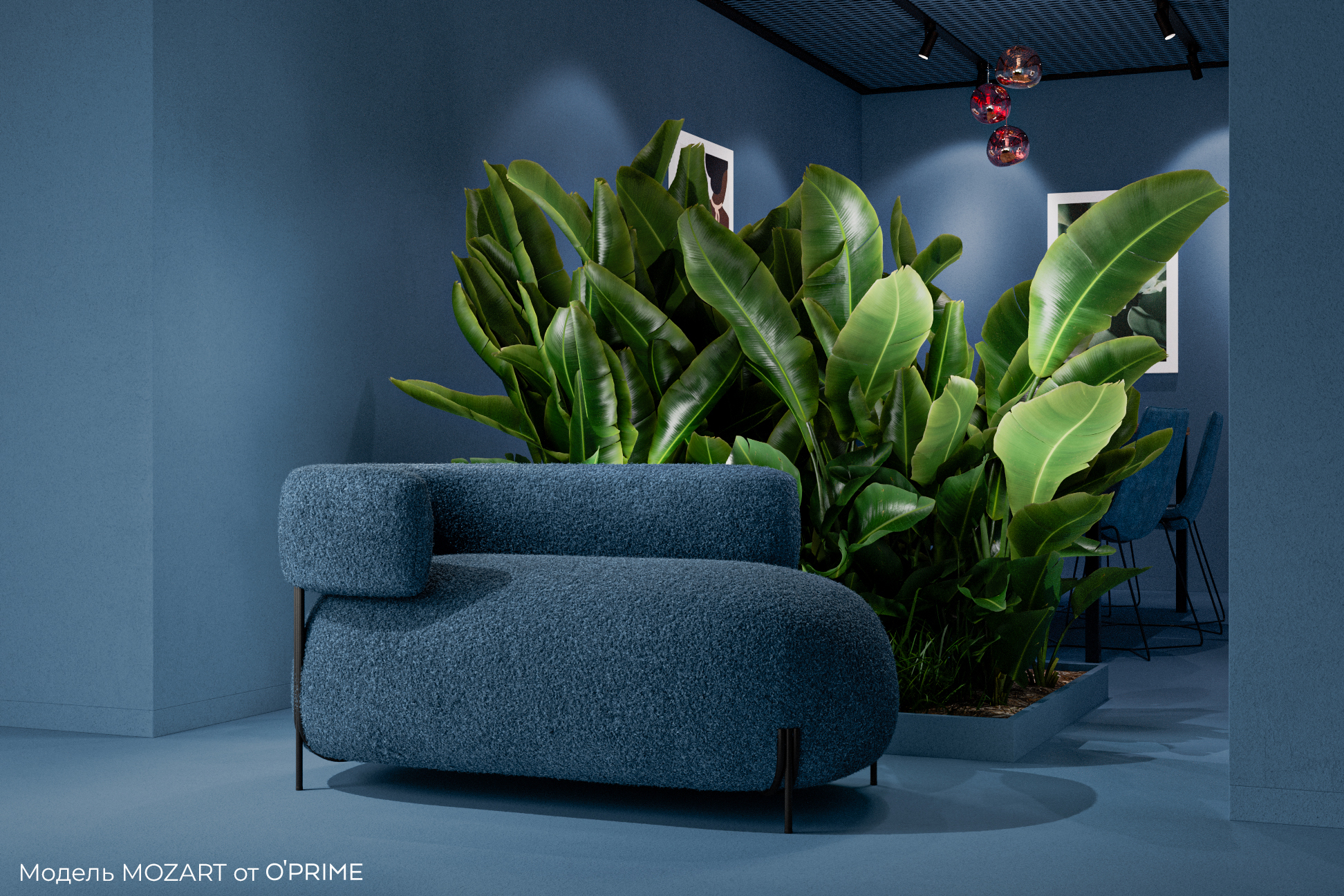 Мерино (Merino) 001 — изображение 4