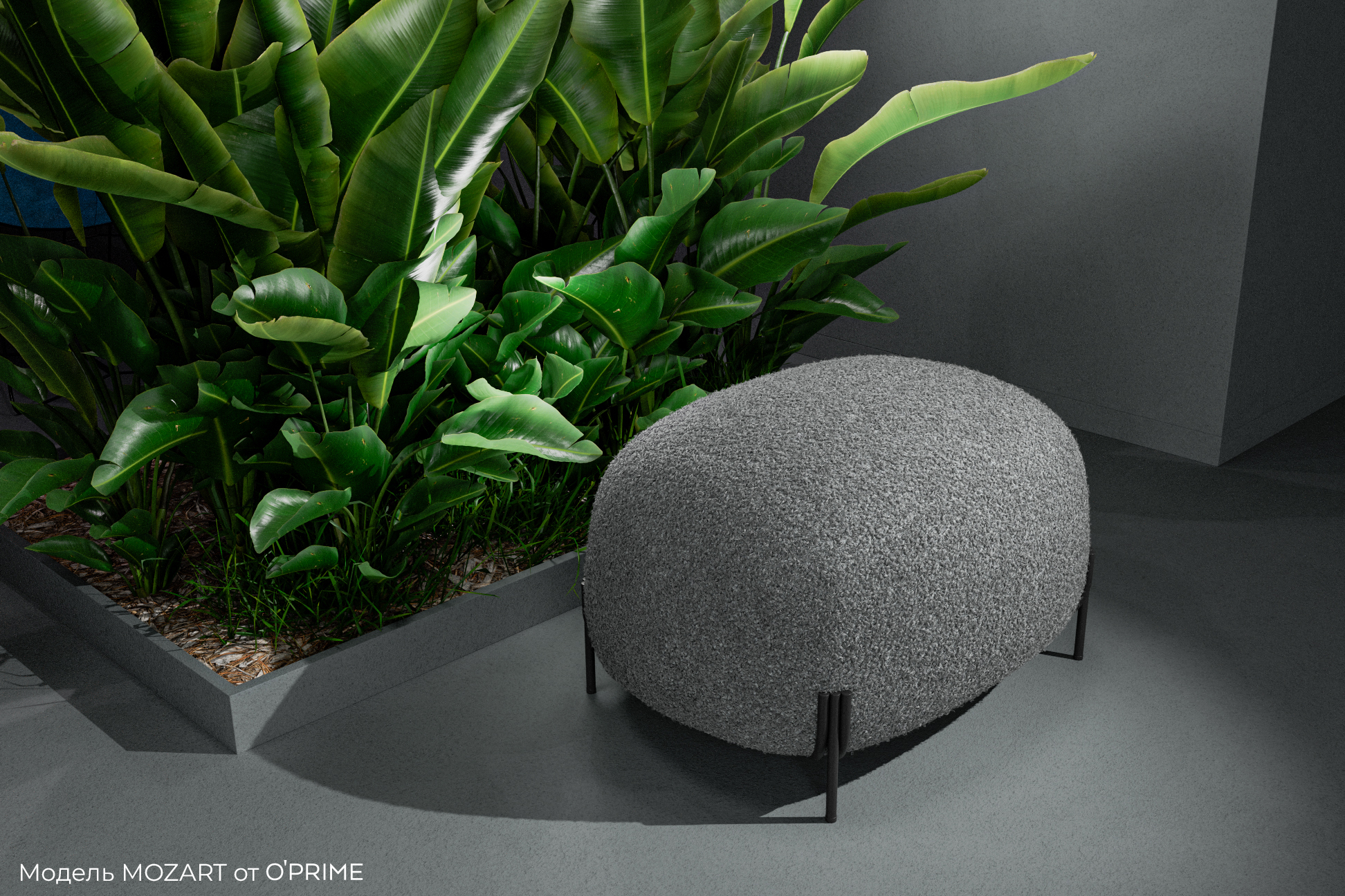 Мерино (Merino) 001 — изображение 3