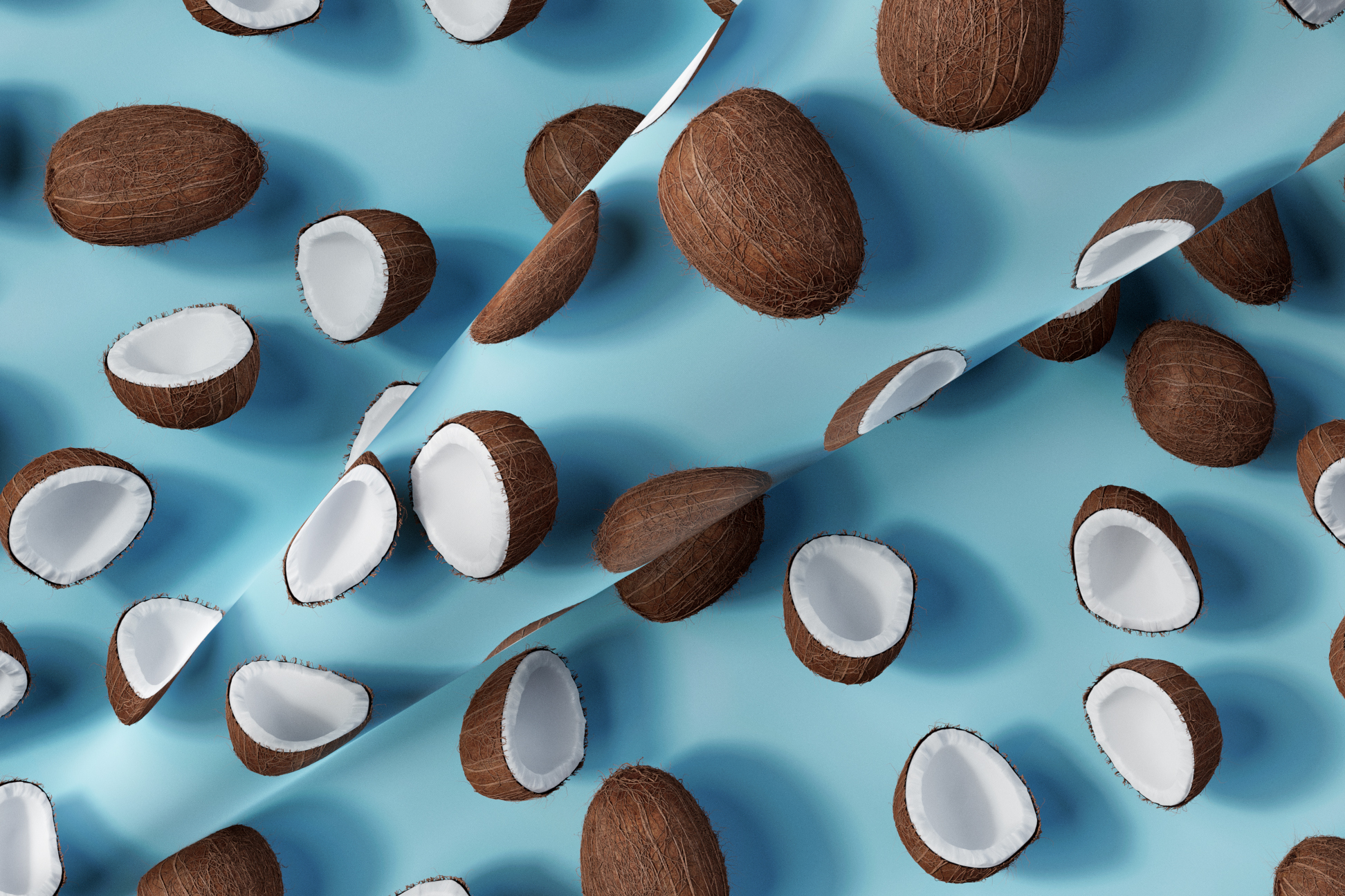 Ботаника (Botanica) 01